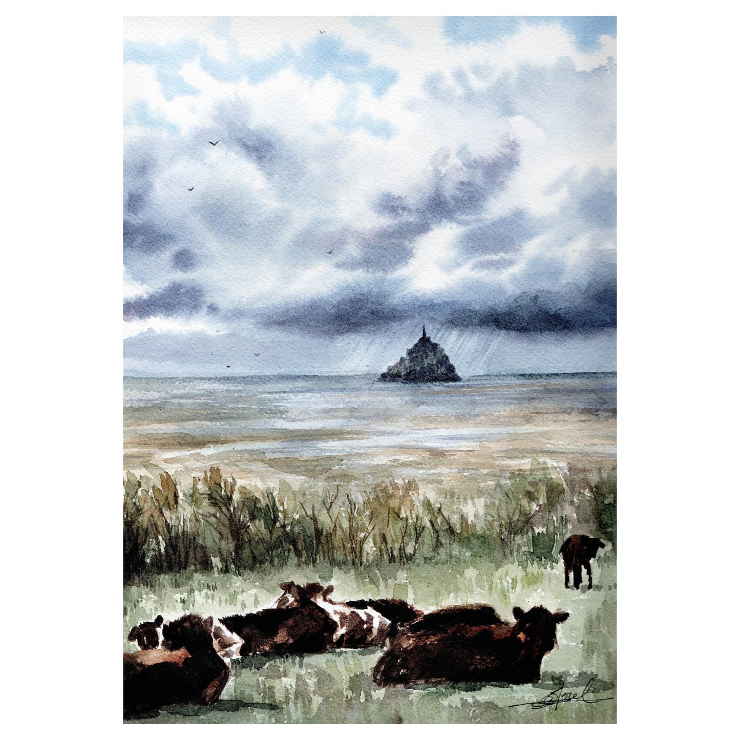 Reproduction d'une aquarelle de la Pointe du Grouin du Sud, avec des vaches en premier plan et une vue sur le Mont-Saint-Michel, réalisée par l'artiste normande Emma de Morel.