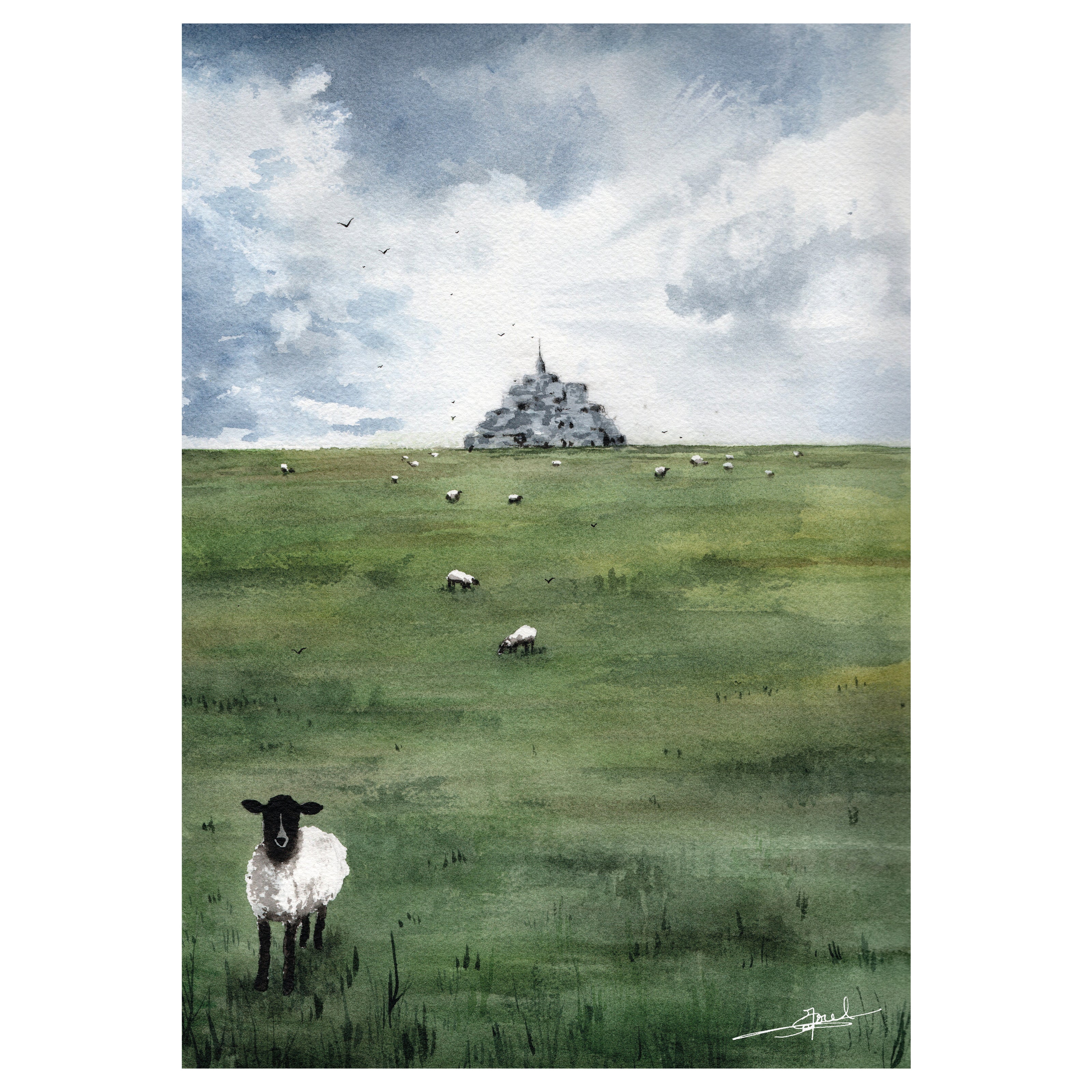 Aquarelle peinte par Emma de Morel représentant un mouton devant le Mont-Saint-Michel.